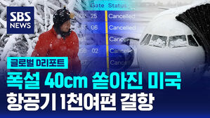 [글로벌D리포트] 뉴욕 등 미 동북부 폭설&hellip;항공기 1천여 편 결항