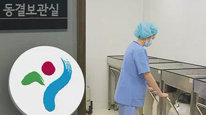 서울시, '난자 동결' 시술 비용 지원 확대