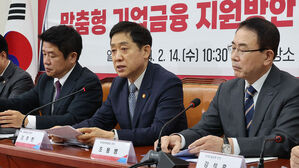 고금리 부담 기업에 돈줄 푼다&hellip;첨단 20조&middot;중견 15조&middot;중소 41조