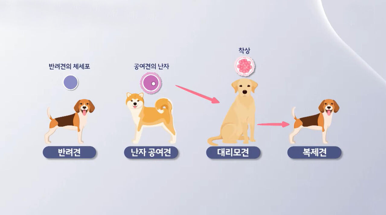 스프 뉴스토리3