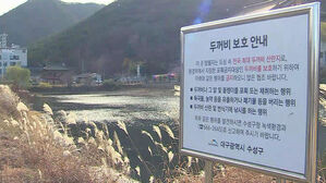 수성구, 망월지 생태축 복원 사업 속도