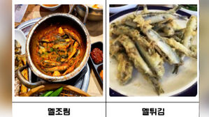 미끼용 멸치가 식탁 위에&hellip;제주 식당 등에 판 미끼 28톤