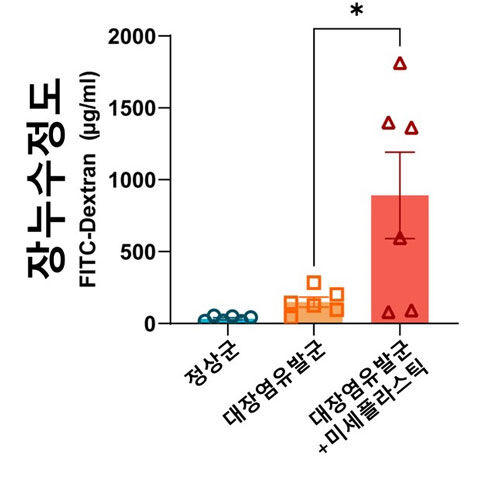 미세플라스틱 섭취가 장 누수에 미치는 영향 나타낸 그래프 (사진=연세대 제공, 연합뉴스)
