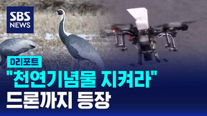 [D리포트] 천연기념물 두루미를 지켜라&hellip;'드론까지 등장'