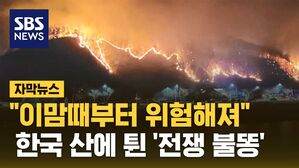 [자막뉴스] "봄 앞두고 위험 시작"&hellip;한국 산에 튄 '전쟁 불똥'