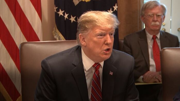 교양이를 부탁해