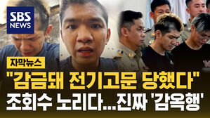 "감금돼 전기고문 당했다" 조회수 노리다...진짜 '감옥행'