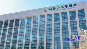 마포구 카페서 흉기 살해 시도&hellip;10대 여성 체포