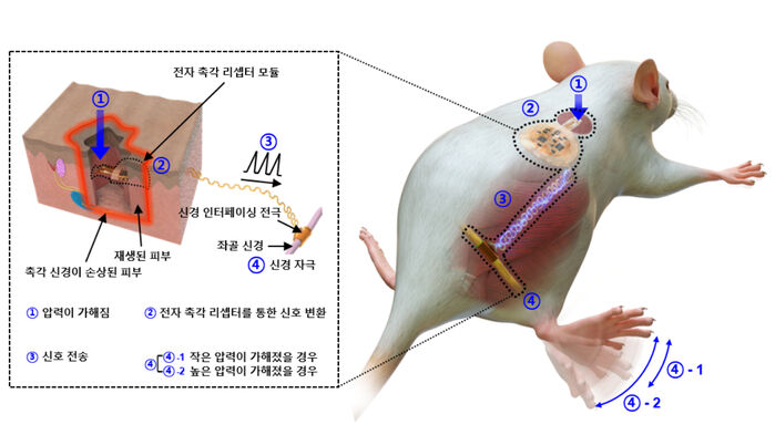 스마트 바이오닉 인공피부 (사진= 한국과학기술연구원 제공)