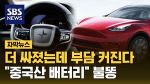 [자막뉴스] 테슬라 200만원, 폴스타 100만원 뚝&hellip;"복잡하긴 해요"