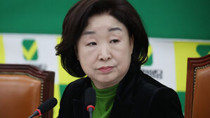 녹색정의당, 저출생 종합 대책 "5대 격차 해소해야"