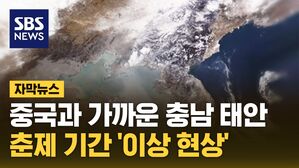 [자막뉴스] "한국이 떠넘긴다"더니&hellip;'아차' 딱 걸린 중국