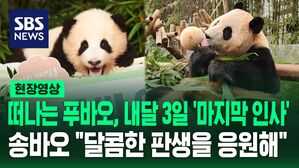 [영상] '왕크왕귀'인데 어떻게 보내요? 내달 3일까지만 볼 수 있는 푸바오&hellip;송바오 "츄파죽스처럼 달달하고 행복한 판생이 되길 바라"