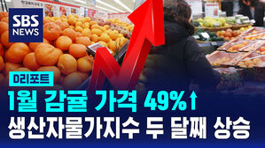[D리포트] 1월 감귤 가격 49%↑&hellip;생산자물가지수 두 달째 상승