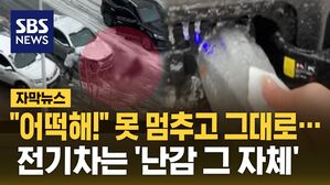 [자막뉴스] "어떡해!" 못 멈추고 그대로&hellip;전기차는 '난감 그자체'