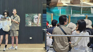 [SBS Star] '12-Year Couple' Chung Kyung-ho ♥ Sooyoung Spotted on a Cute Date in Sydney