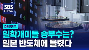 [D리포트] 일학개미들 승부수는?&hellip;일본 반도체에 몰렸다