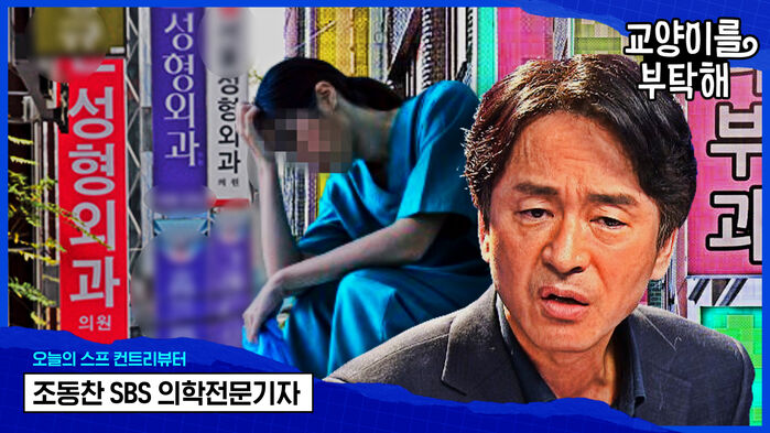 교양이를 부탁해