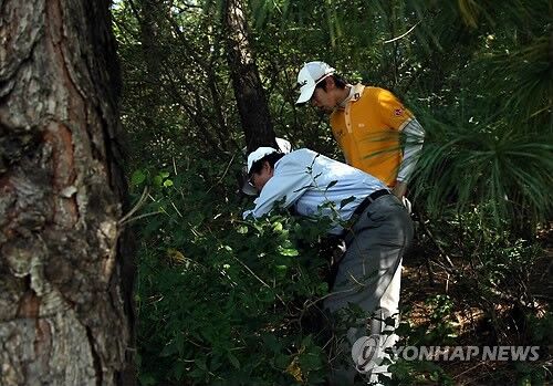 노승열