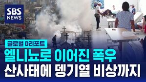 [글로벌D리포트] 중남미 곳곳 산사태 &middot; 홍수&hellip;뎅기열 비상사태까지