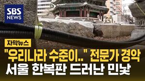 [자막뉴스] "상상도 못 해" 전문가 경악&hellip;문화재청도 "몰랐다"