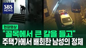 [영상] "손 보여줘 봐요 손!!" 칼 들고 주택가에 나타나 주차장에서 건물 안에서 서성이던 남성의 최후