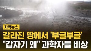 [자막뉴스] 갈라진 땅에서 '부글부글'&hellip;"갑자기 왜" 과학자들 비상