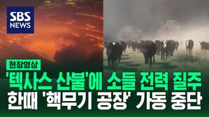 [영상] "모든 것을 잃었어요" 서울의 5배 태운 텍사스 산불&hellip;소들이 전속력으로 질주하고 검은 연기가 벽을 쌓았다
