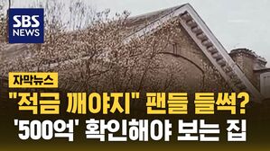 [자막뉴스] "적금 깨야지" 팬들 들썩?&hellip;'500억' 확인해야 보는 집