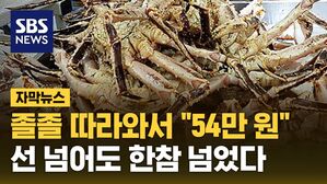 [자막뉴스] "좋은 말 한마디도 안 나와"&hellip;선 넘어도 한참 넘었다