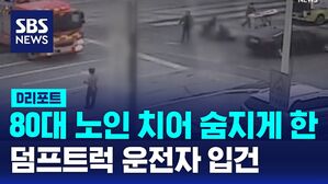 디리포트 덤프트럭
