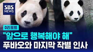 [D리포트] "앞으로도 행복해야 해"&hellip;푸바오와 마지막 작별 인사