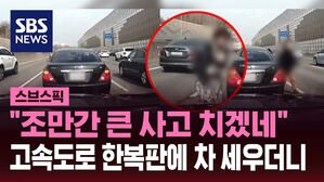 "조만간 큰 사고 치겠네" 고속도로 한복판에 차 세우더니