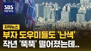 [자막뉴스] "올해 집값은?" 전문가 768명에 묻자 '압도적 대답'