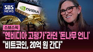 "엔비디아 고평가"라던 '돈나무 언니' "비트코인, 20억 원 간다"