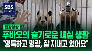 [영상] "푸바오는 잘 지내고 있어요&sim;"&hellip;내실 생활하는 푸바오 모습 공개한 송영관 사육사