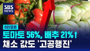[D리포트] 토마토 56% &middot; 배추 21%↑&hellip;과일 이어 채솟값도 '고공행진'