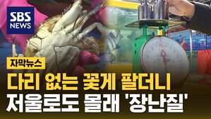 [자막뉴스] 다리 없는 꽃게 팔더니, 저울로도 몰래 '장난질'