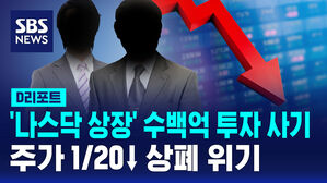 [D리포트] '나스닥 상장' 미끼 수백억 투자 사기&hellip;주가 1/20↓ 상폐 위기