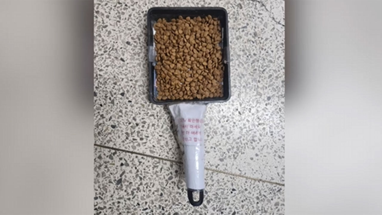 진상 '캣맘'과 소송전