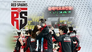 '대전 배구'에도 봄이 왔다&hellip;7년 만의 감격
