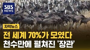 [자막뉴스] 직원 20명이 직접 카운트&hellip;'전 세계 70%'가 몰렸다