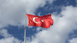 튀르키예 축구 승부조작 스캔들…심판·선수 1천여명 적발