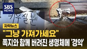 [자막뉴스] 유기견 썸네일