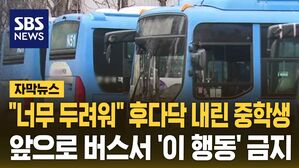 [자막뉴스] "두려웠다" 후다닥 내린 중학생&hellip;서울 버스서 '이 행동' 금지된다