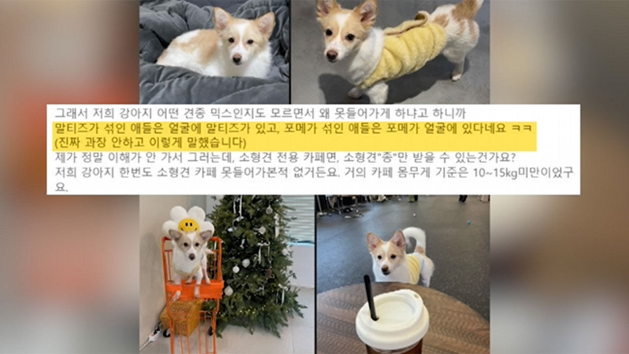 '믹스견' 출입 거부한 애견카페, 견종차별 논란