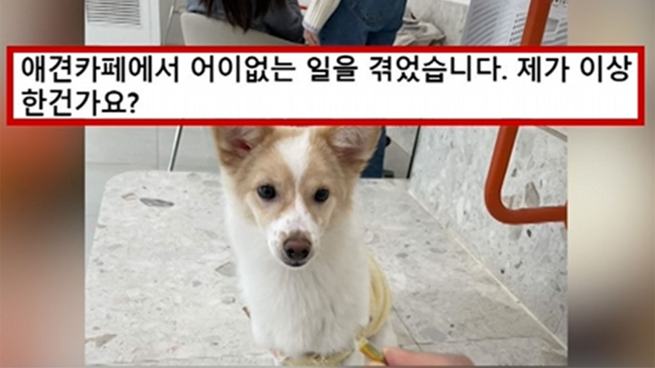 '믹스견' 출입 거부한 애견카페, 견종차별 논란