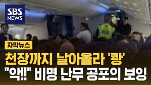 [자막뉴스] 훅 날더니 '와장창'&hellip;승객들 패닉 빠진 공포의 순간