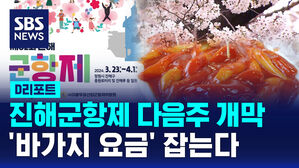 [D리포트] 진해군항제 다음주 개막&hellip;'바가지 요금' 잡는다