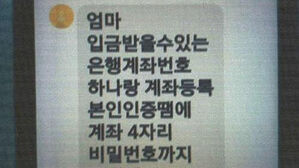 "생활비 떨어져 입국"&hellip;중국 머물던 피싱 조직 총책 검거
